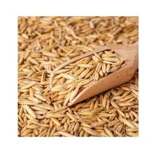 High Quality Organic Oats Grains Available For Sale At Low Price 