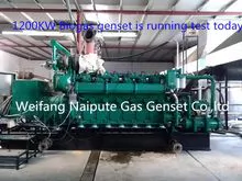 1000kw 1MW Gas Generator 
