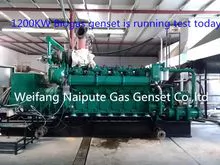 1000kw 1MW Gas Generator