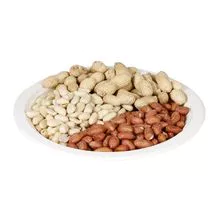 Peanut raw organic peanuts ground nut in shell roasted peanut