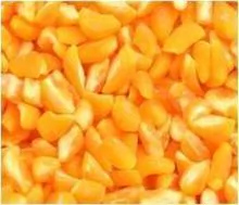 Flakesmix - Corn Hominy