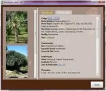 CalcLandscape software para cálculo de orçamento de projeto de paisagismo e irrigação