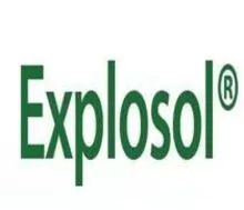Explosol （淀粉钠乙醇酸）