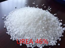 imagem dos produtos
