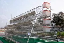 Laying hen breeding cages