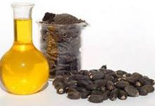 Matéria-prima de biodiesel a granel