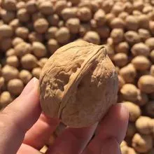 185 walnuts