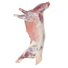 Halal Whole Goat Carcass  