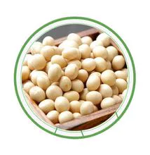 Soybeans Wholesale Roasted Salty Soybean and Non- Gmo Yellow Soybean for low price