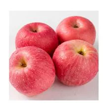 New Seasoned of fresh red fuji apple fruit fresh apples royal gala and red delicious apples fresh price for wholesale