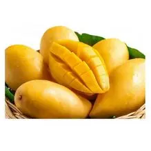 Frutas frescas de qualidade premium Manga verde doce fresca de qualidade superior com peso 500g