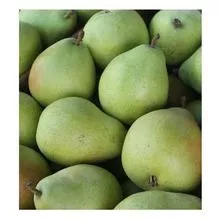 No OGM Grado alimenticio deliciosas frutas naturales al por mayor peras verdes dulces frescas para alimentos