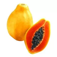 Papaya de fruta fresca de alta calidad disponible para la venta a bajo precio 