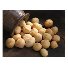 Nozes de macadâmia por atacado 10kg de nozes de macadâmia a granel