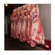 冷冻和新鲜羊肉胴体 / 羊肉