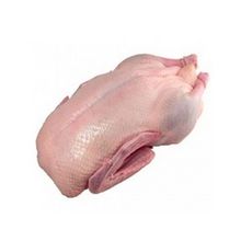 Pato entero congelado halal sin despojos disponible para la venta