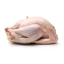 Proveedor mayorista de carne entera de pavo congelada con entrega rápida 