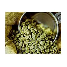 100% grano de café verde robusta tostado de alta calidad Los mejores granos de café tostados para beber