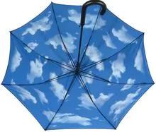 Umbrella and Promotional Umbrella