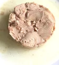 CANNED TUNA SOLID IN OIL
