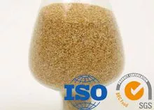 Choline Chloride CAS: 67-48-1