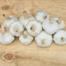 Ajo fresco de alta calidad