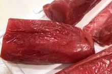 SIF approved tuna supplier