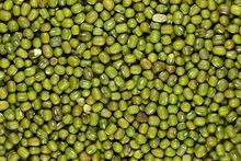  High quality Green Mung/Vigna Beans