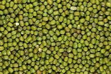 Premium Green Mung Beans: Freshness and Flavor Guaranteed