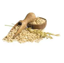 Grão de aveia orgânico para venda