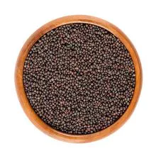 Preço de venda quente de sementes de colza / sementes de canola / colza para venda 