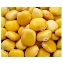 Lupins Beans for Export - Competitive Prices and Quality Guaranteed