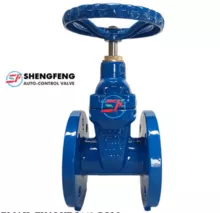 DIN F4 GGG50 DN100 ductile iron resilient seat gate valve