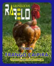 CORTE CAIPIRA DE POLLO