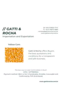 YELLOW CORN