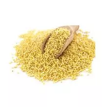 Mijo amarillo y blanco orgánico rico en proteínas Mijo de grano sin gluten para la exportación