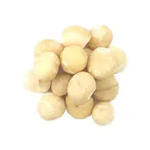 Preço de fábrica Raw Macadâmia Nuts Atacado Torrado Macadâmia