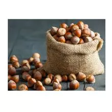 Semente de avelã crua / Semente de avelã de grau orgânico / Hazel Nuts para venda