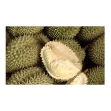 Fruta fresca de durián fresca deliciosa de la mejor calidad para la exportación 