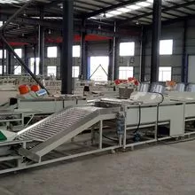 Fruit cleaning, waxing and sorting machine