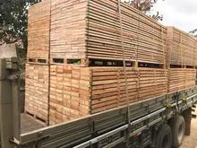Eucalyptus lumber 