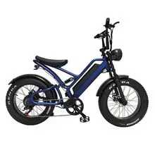 Off-road electric bike