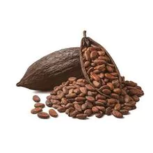 Granos de cacao de buena calidad