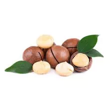 Raw and processed Macadamia Nuts 