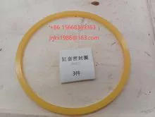 Cylinder liner seals