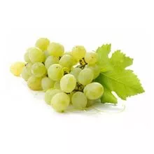 Preço barato por atacado Melhor qualidade de frutas frescas Globo branco Uvas sem sementes para venda em todo o mundo Exportações 