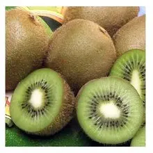 Kiwi frescos de alta qualidade para venda ao melhor preço