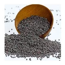 Original Rape Seeds / Canola Seeds / Rapeseeds At Cheap Wholesale Price 