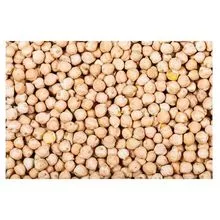 garbanzos blancos, garbanzos desi ecológicos naturales, judías desi de garbanzos de buena calidad