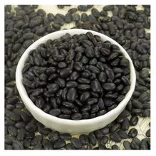 Organic Black Bean - Kidney Beans Export Black Kidney Beans Cheap Price